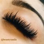 Mega Volume Lashes