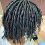 Starter Locs (Caucasian) hair