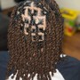 Crochet Braids w/singles in the front