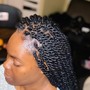 Feathers  Braids. Medium size