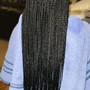 Senegalese Twist 26 to 30