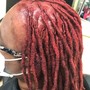 Root Touch Up/Demi color