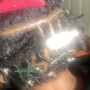 Starter Locs