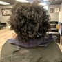 Root Touch Up