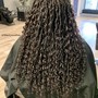 Braids Take-down/Shampoo