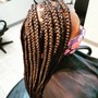 Tribal Boho/Goddess Braids