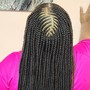 micros Xsmall box braids