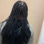 Small Box Braids (Midback)