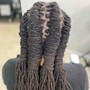 Starter locs (2 strand twist)