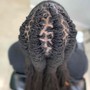 Starter locs (2 strand twist)