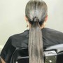 Sleek Ponytail