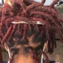 Loc Retwist