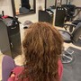 Root Touch Up