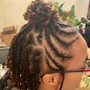 Natural Twists