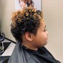 Root Touch Up