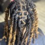 Loc Detox with retwist