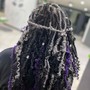 Starter Locs