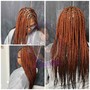 Adult Starter Locs (for mohawk or all sides shave just the top)