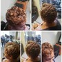 Root Touch Up