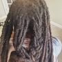 Twist Extensions (micro+)