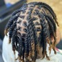 Two Strand Twist