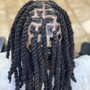 Starter Locs