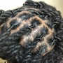 Two Strand Twist