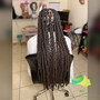 Starter locs (two strand twist)