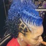 Single Braids or Two Hand Twist Style (Wet or Dry Natural Hair)