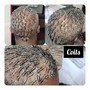 Comb Twist/Coils