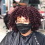 Curl Discovery Session