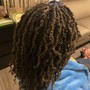 Havana Twists