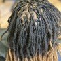 Starter Locs w/twist