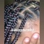 Braids Lesson