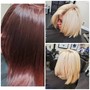 Single Process Full Color, Shampoo and Style