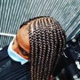 Starter locs coil twist