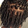 Two strand Twist ( natural style)