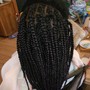 Comb Twist