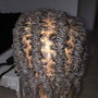 Senegalese twist xs midback