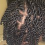 Crochet Braids or Twist