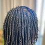 Micro Loc Extensions (300)