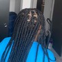 Kid's Braids with Beads (natural hair)