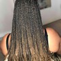 Senegalese twist(rope twist)