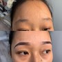 Microshading  (semi permanent ombre brows/)