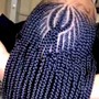 Tree Braids