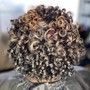 Texturizer (curly)