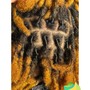 Shampoo Retwist & Rod Set