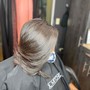 Root Touch Up