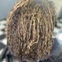 Root Touch Up