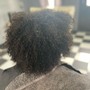 Root Touch Up